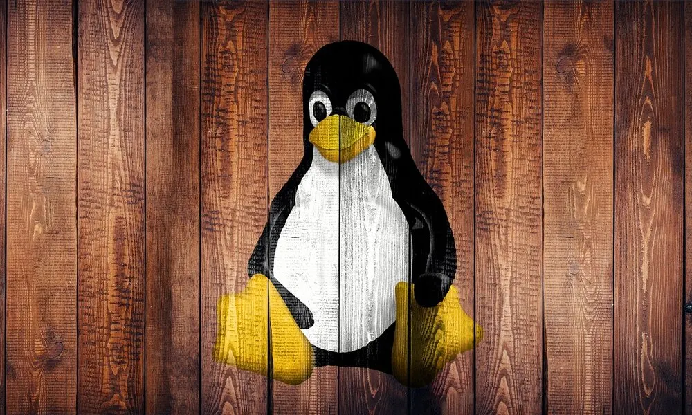 ¿Garantiza Linux la privacidad de las empresas ante los ataques emergentes?