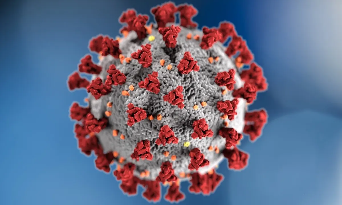 Coronavirus: las falsas apps de seguimiento